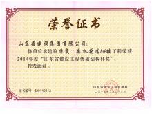 特变·森林花园1#楼省冰球突破工程优质结构杯奖