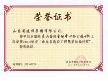 泰山国际A楼山东省冰球突破工程优质结构杯