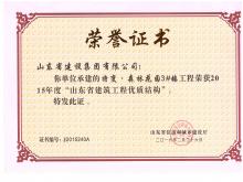 特变·森林花园3#楼获2015年度山东省冰球突破工程优质结构