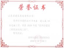 滨州双泰·建大城8#获2019年度滨州市冰球突破工程优质结构工程
